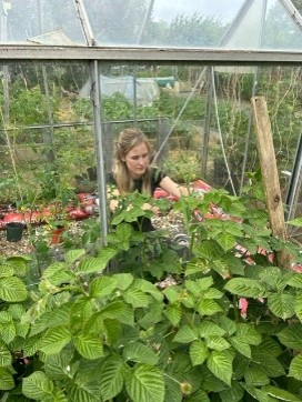 CheltIsGrowing tweet picture