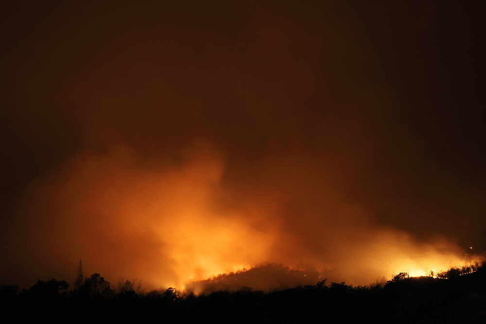 Fires are becoming more common all over California. Unfortunately, this means that your home could be affected, particularly if you live in a dry and hot area of the state. As...
https://t.co/X2aofiZ6u2 https://t.co/dL0D2VnLw9