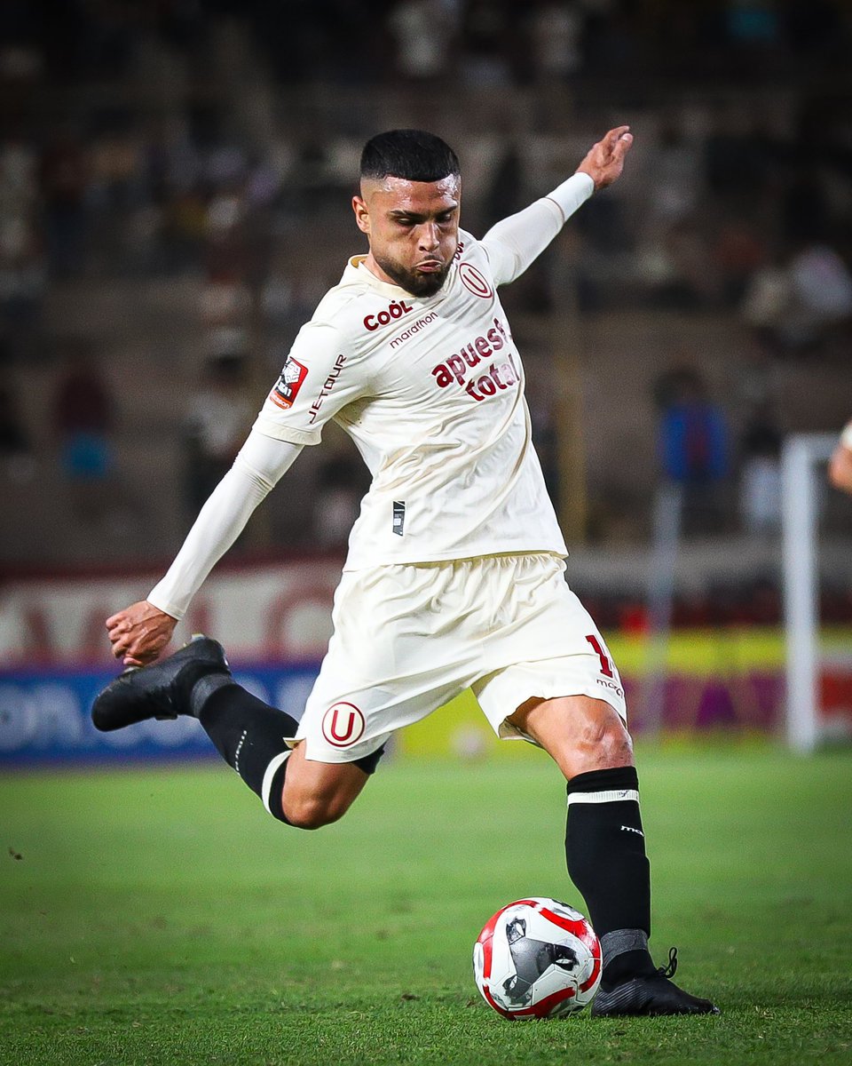 charlatacticape's tweet photo. .@Universitario ya trabaja en la renovación de Rodrigo Ureña, uno de los pilares del buen momento del equipo. Ante la pregunta, el 'Pitbull' respondió:

“Va muy bien. Estamos hablando. Me siento muy cómodo, querido y respetado”.

RT si quieren al chileno 🇨🇱 en el centenario. https://t.co/e03hMiNjLL