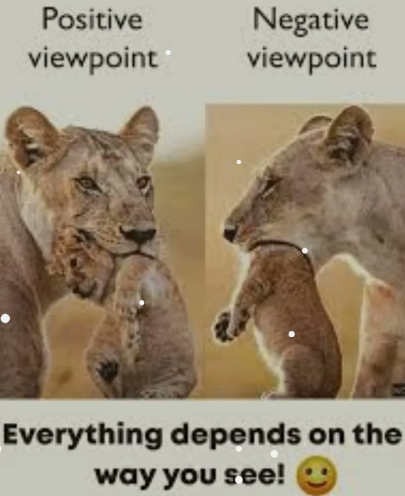 Royal1Inspire's tweet photo. Everything depends on the way you see!#PositiveViewpoint #PurpousefulWeek #Royal1Inspires #BestMotivatioanlSpeaker #ExpertEncourager #WomenEmpowerm #InspirationalSpeakerKansas  #MotivationalQuotes @RoyalInspirations.net https://t.co/Wp6griMY8T
