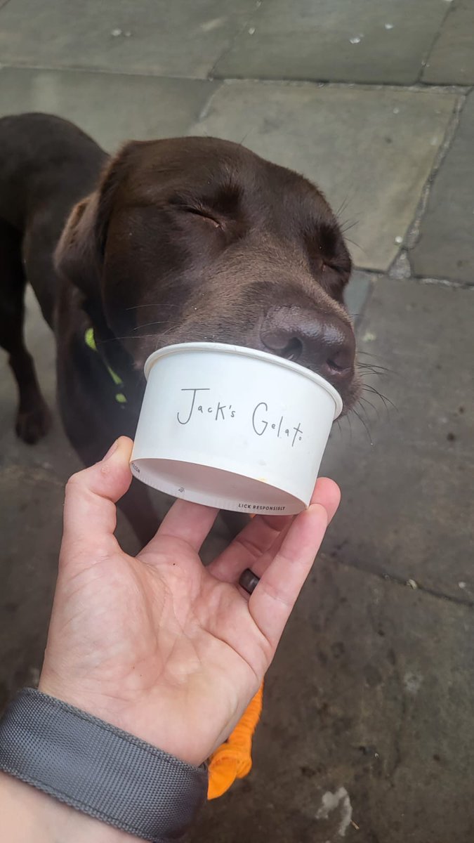 Dr Krishnaa Mahbubani tweet media