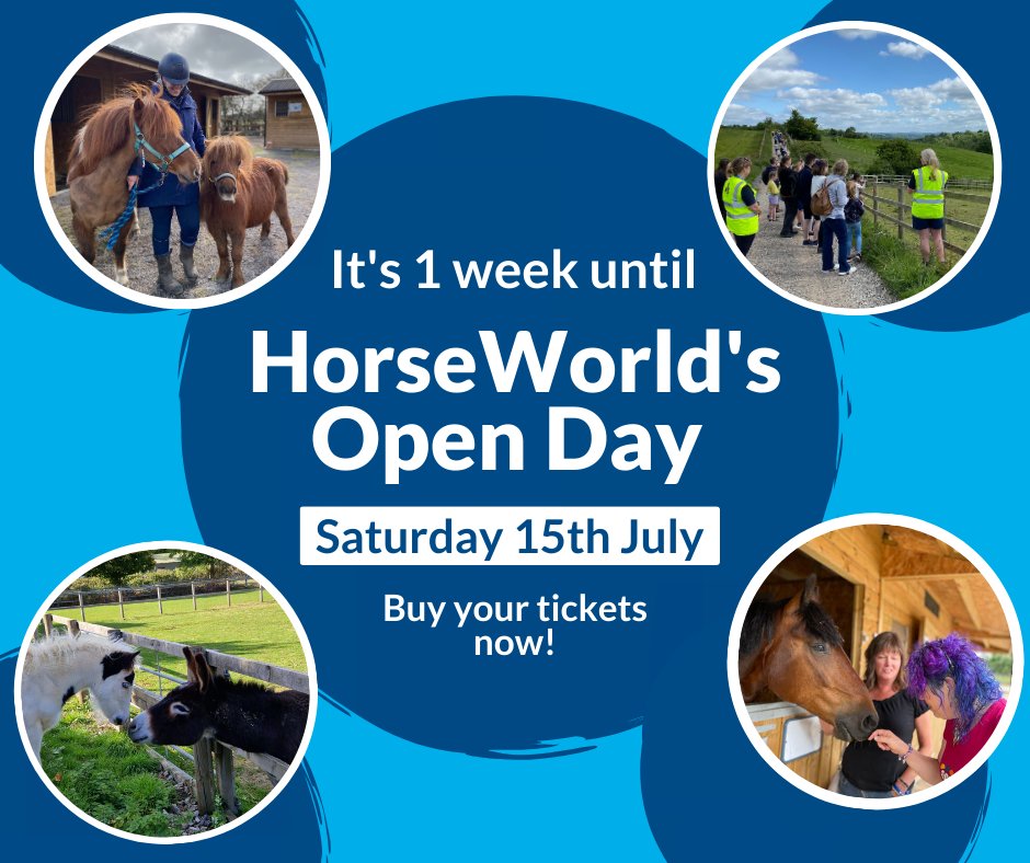 HorseWorldTrust's tweet photo. IT'S 1 WEEK UNTIL OUR OPEN DAY!
Have you got your tickets yet? Better get them quick because our tickets are selling out *fast*! Click the link to secure yours today.
๐ซ https://t.co/Bd1d3m4YdN
#Bristol #BristolCharity #ChartiyEvent #BristolEvent https://t.co/gY8Gj7oLvl