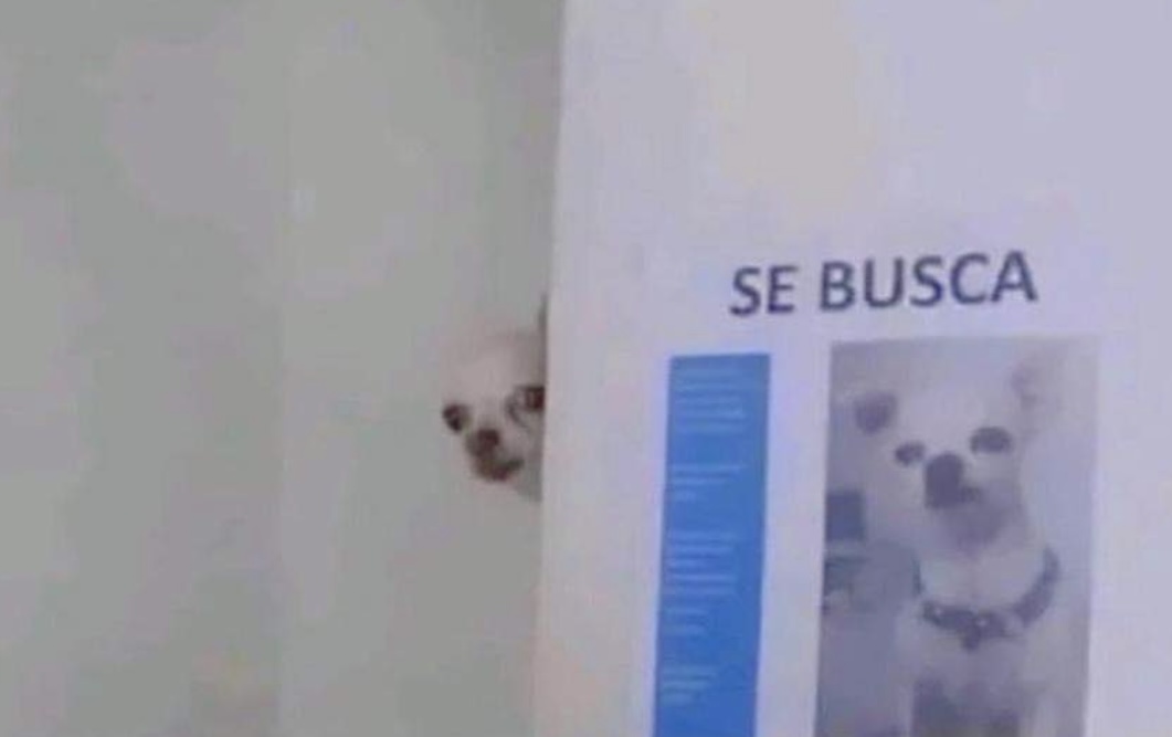 Guarromantico_'s tweet photo. Yo llegando a casa después de andar de fiesta tres días. https://t.co/DPqZ1ML62p