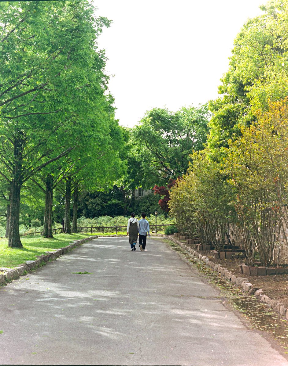 portra74's tweet photo. 05,2023 Shiga https://t.co/vWmXmE9Zbc