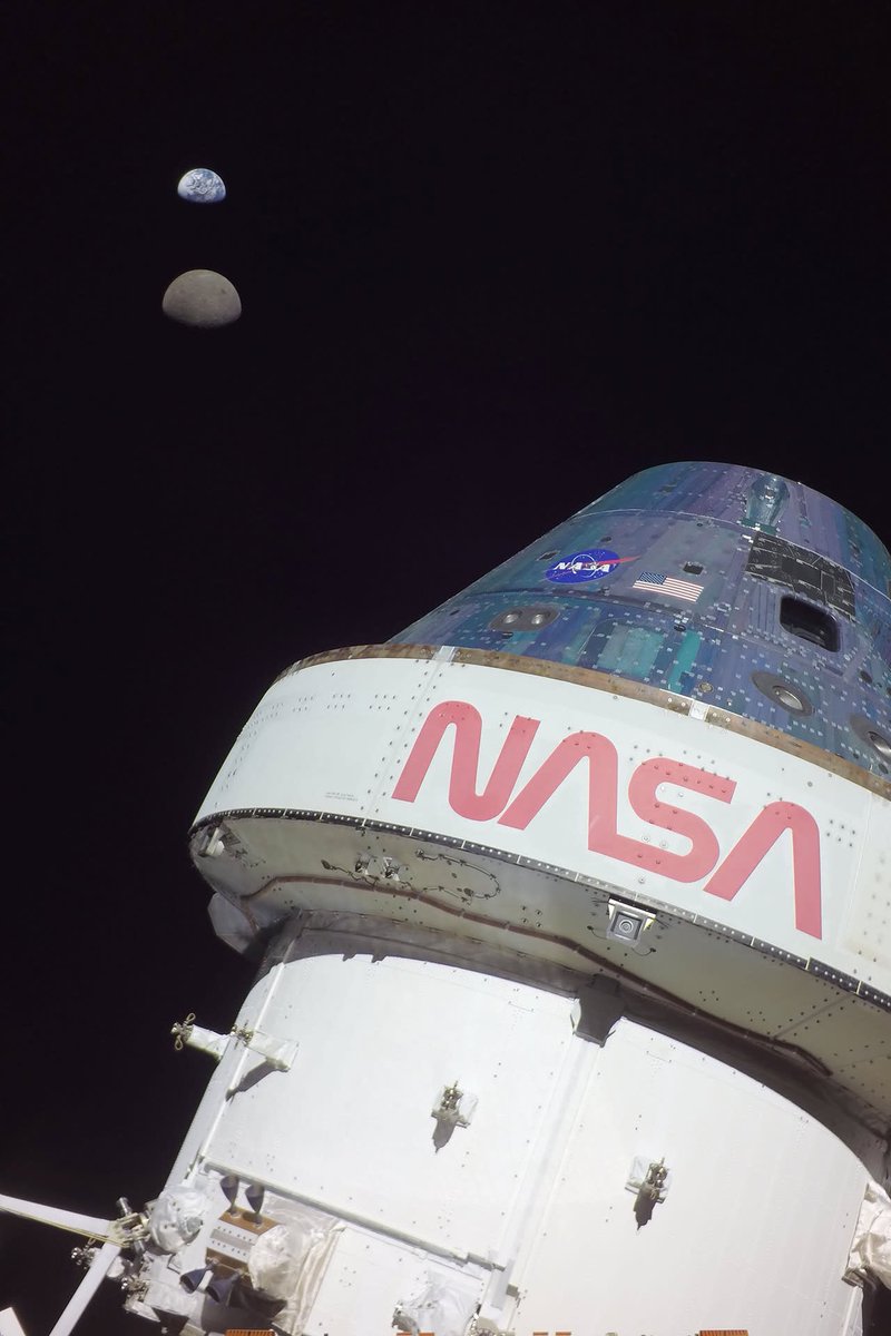 David Willis tweet media