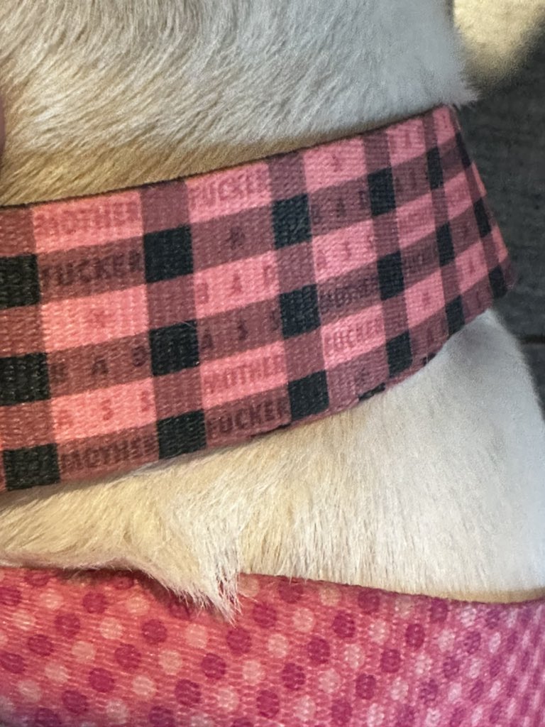 That’s me. Bad ass mother fucker. 

#adventuresofwaverly #EDE2023