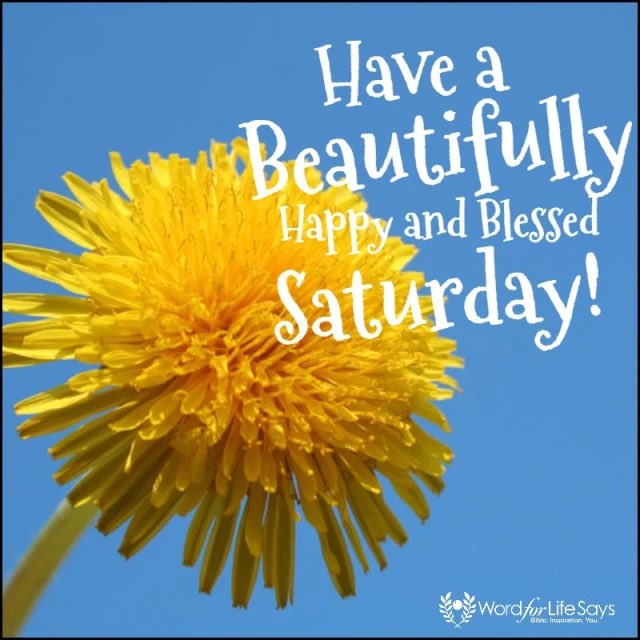 thatgirlxf's tweet photo. Happy Saturday @MsLynn41679795 #KindMatters #RandomActsOfKindness https://t.co/iqS89pjFMl