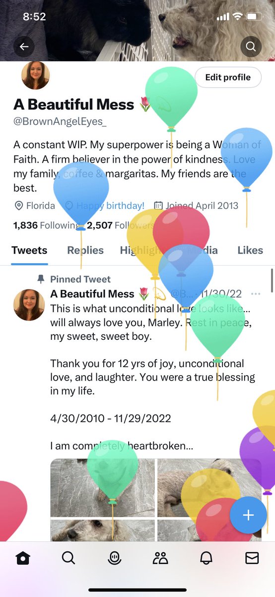 A Beautiful Mess 🌷💫 tweet media
