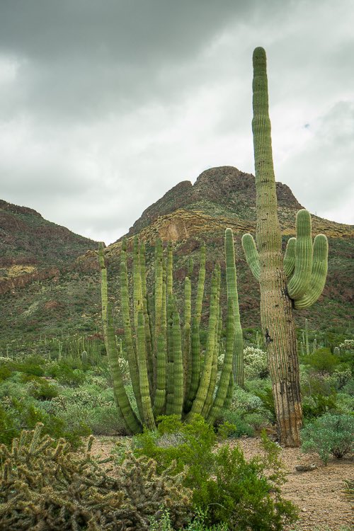 59NationalParks.com tweet media