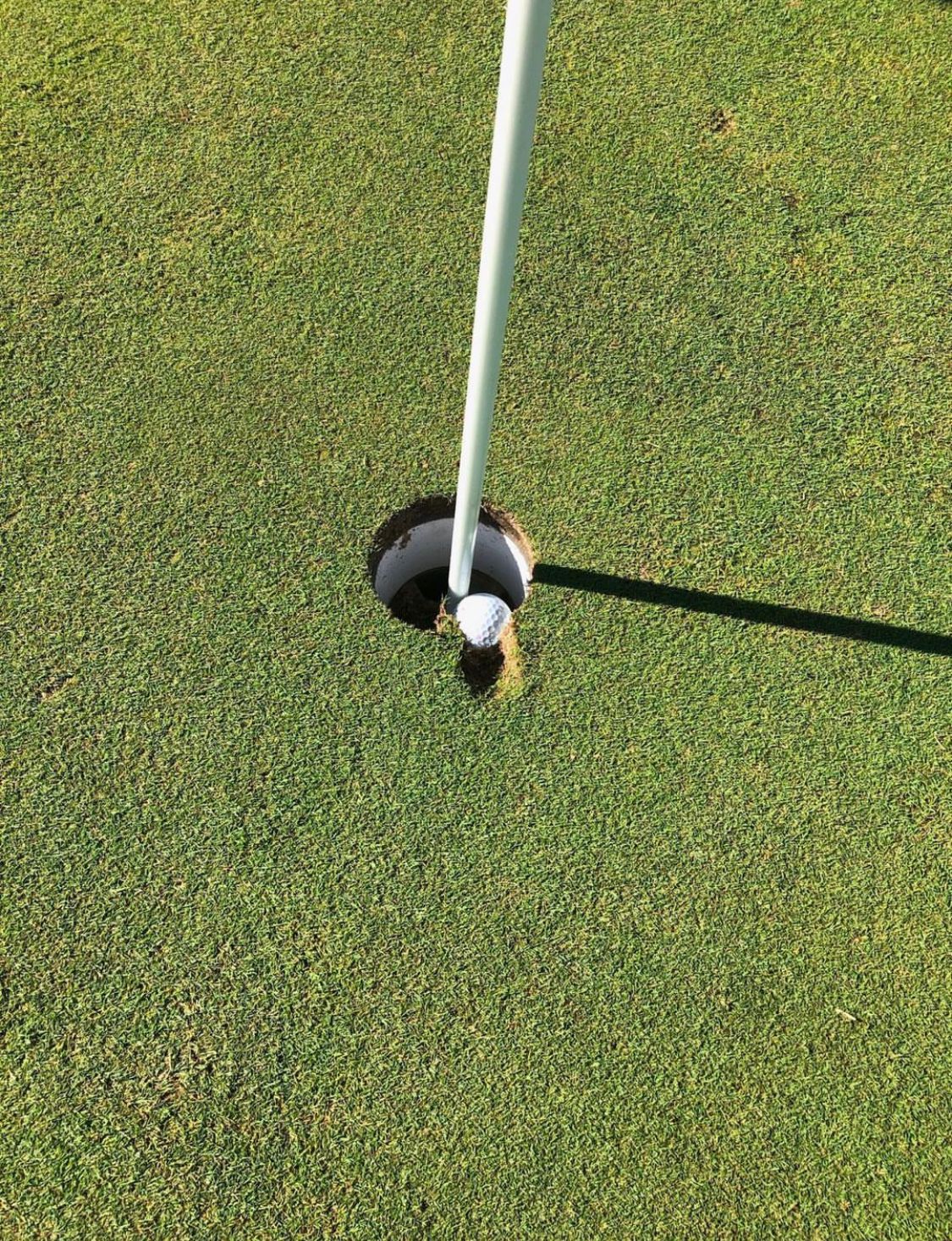 HowDidiDo on Twitter: 