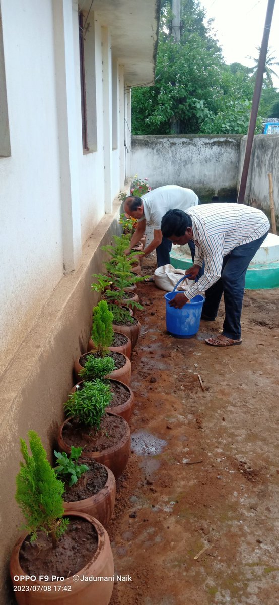 Plantation of plants in office premise on 08.07.2023.