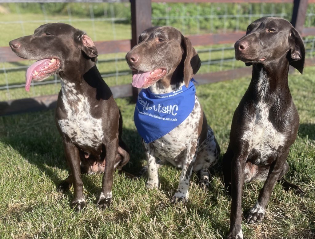 What a fabulous way to spend a Saturday morning <a href="/BFparkrun/">Brierley Forest parkrun</a> sponsored by <a href="/NottsHealthcare/">Nottinghamshire Healthcare</a> with family and colleagues.   run opened by <a href="/BeckySutton12/">Becky Sutton</a> and lovely to sea so much blue 💙#NHS75