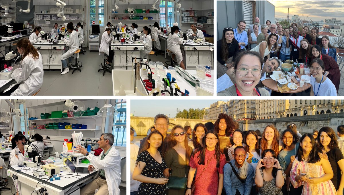PasteurEdu's tweet photo. 😎Last day of the #ASCB course at the @institutpasteur with Shahragim Tajbakhsh @LabTajbakhsh, Laure Bally-Cuif @zenlabpasteur – Thanks to all instructors for helping us every year to make this course better, and thanks to our great students! 👏 #StemCells #organoids #ASCBcourse https://t.co/HyHAd51aNz