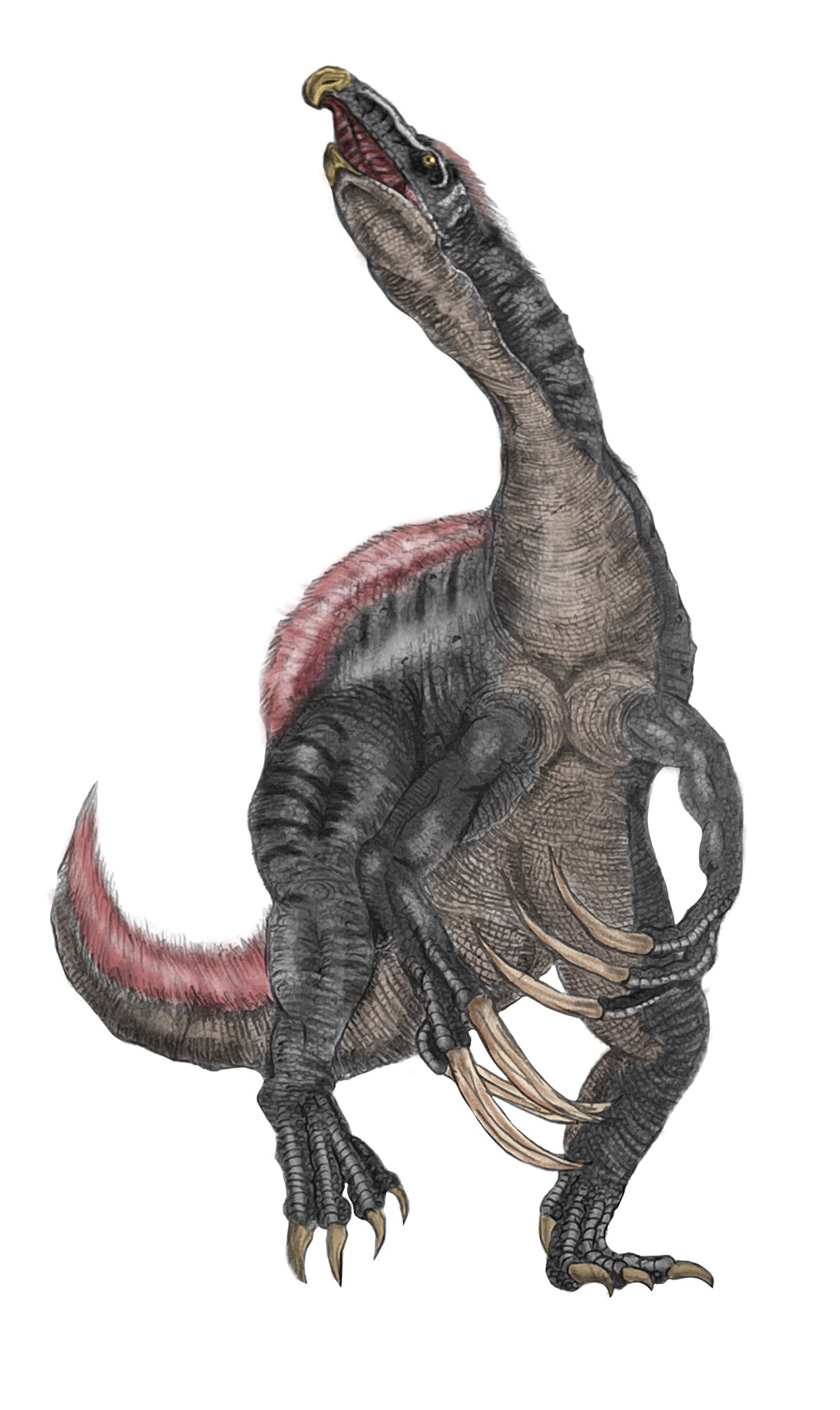 さくり on Twitter 