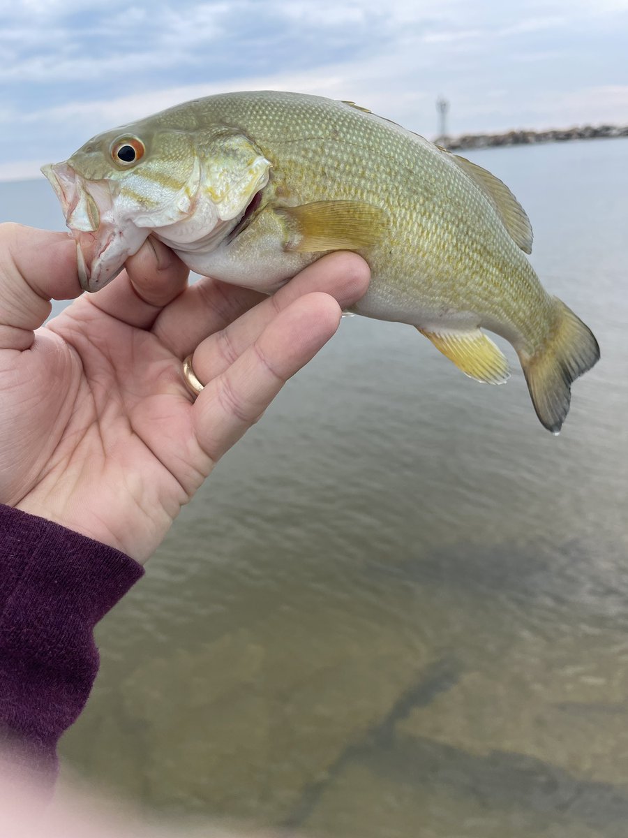 Mech_45's tweet photo. @618Fishing later buddy!

#lakehuron https://t.co/lapy1ktc5A