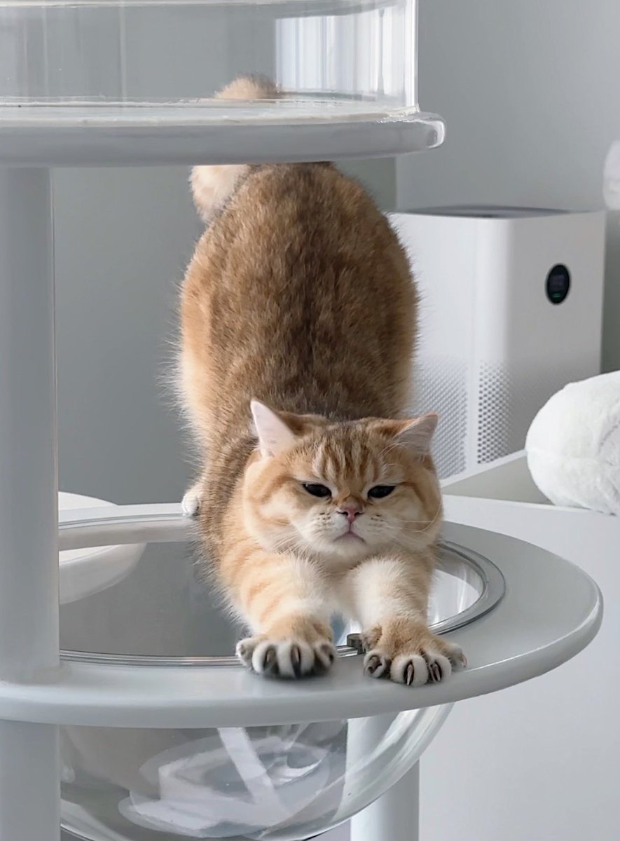 อื้ยยยยยยยย