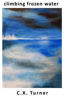 OriGamiFreePoem's tweet image. C.X. Turner enjoys experimenting with Japanese short-forms, three of her poems were Touchstone-nominated in 2022.  - #microchap #origamipoems

from scraps of sky
I collect wishes, anything
to be less blue

•
C.X. Turner © 2023
Cover: Oil pastel artwork by author