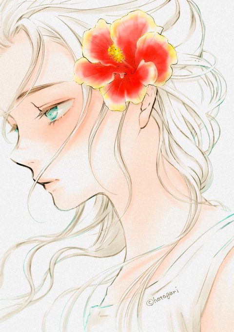 「hibiscus simple background」 illustration images(Latest)