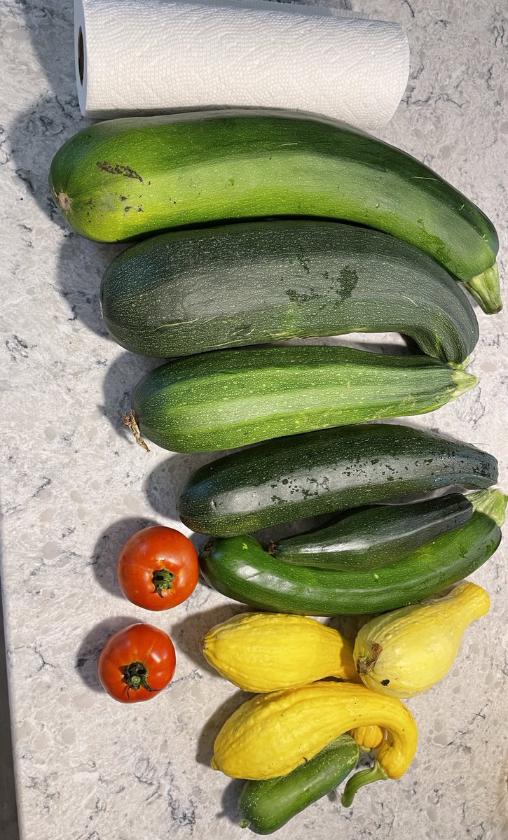 Blue Sonya 💙 tweet media