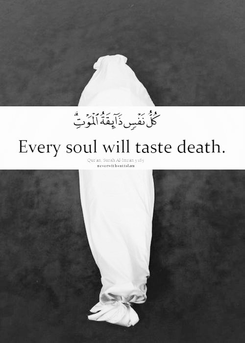 Quran and Hadith tweet media