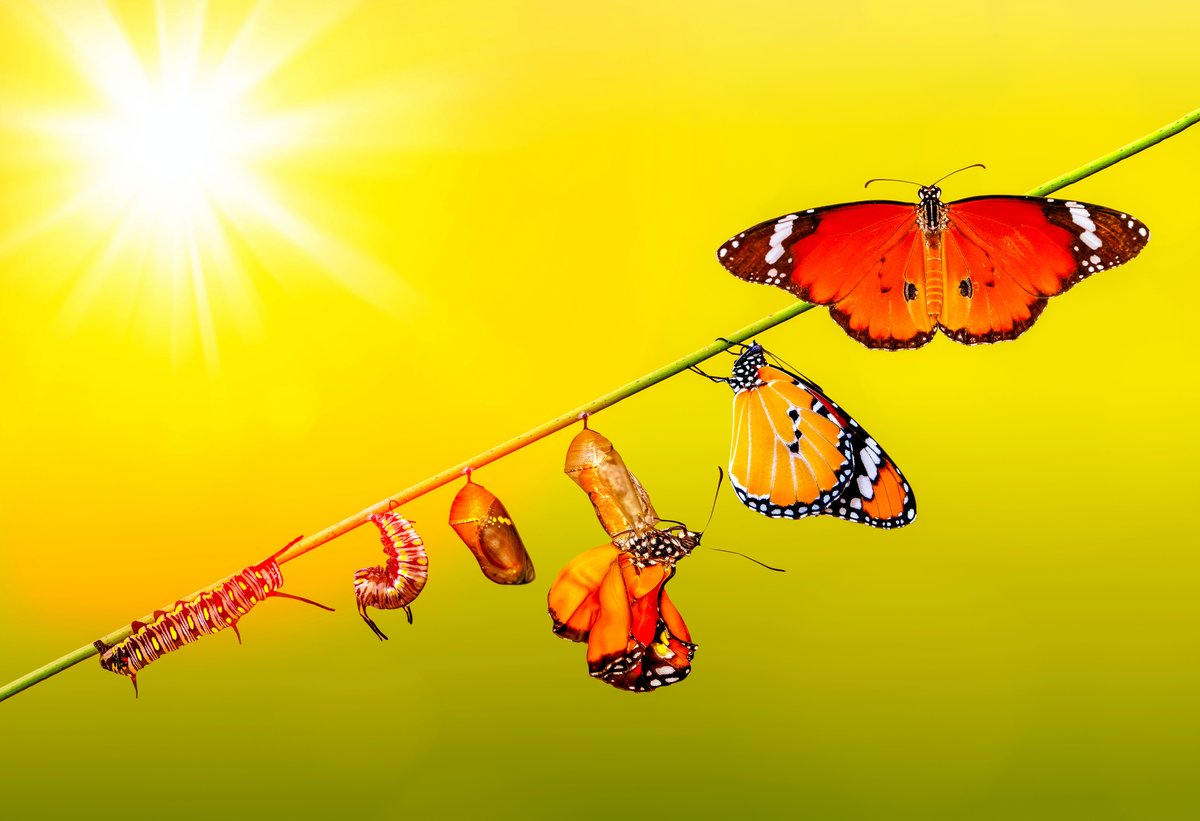 AndrewWatsonTTB's tweet image. It&apos;s official! I&apos;ll be presenting at @learningandtheb&apos;s fall conference in Boston!!

If you&apos;d like to learn more about #workingmemory, and to apply that knowledge to practical teaching strategies, I hope you&apos;ll join us.