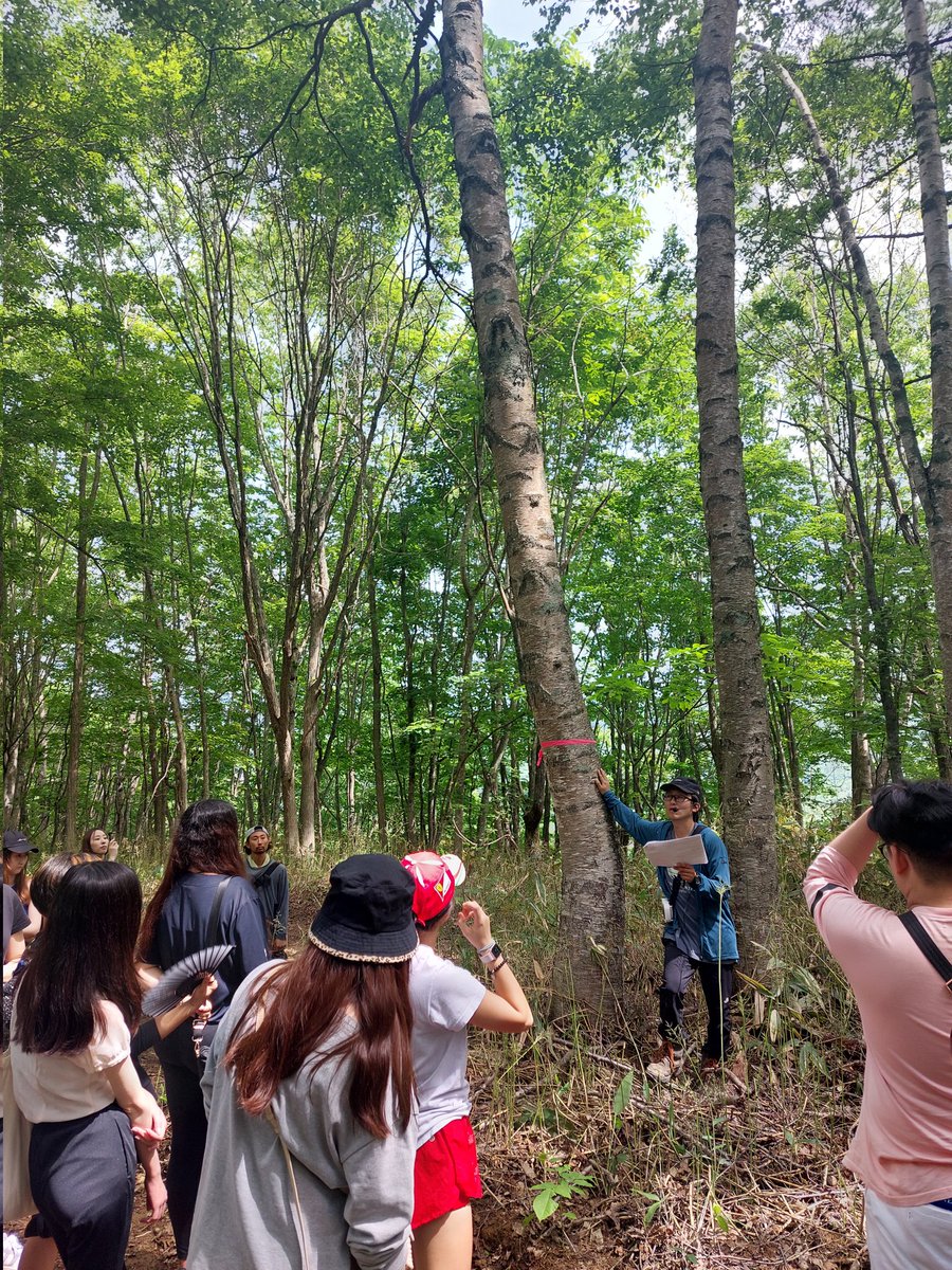 Murdoch_TE's tweet photo. @Murdoch_TE #MUTOU310 and @HokuseiGakuen students visited a local native forest in Niseko to learn about Close-to-Nature Forestry management approaches and practices, including how to make essential oil from local Todomatsu trees. https://t.co/z09Gat6goM