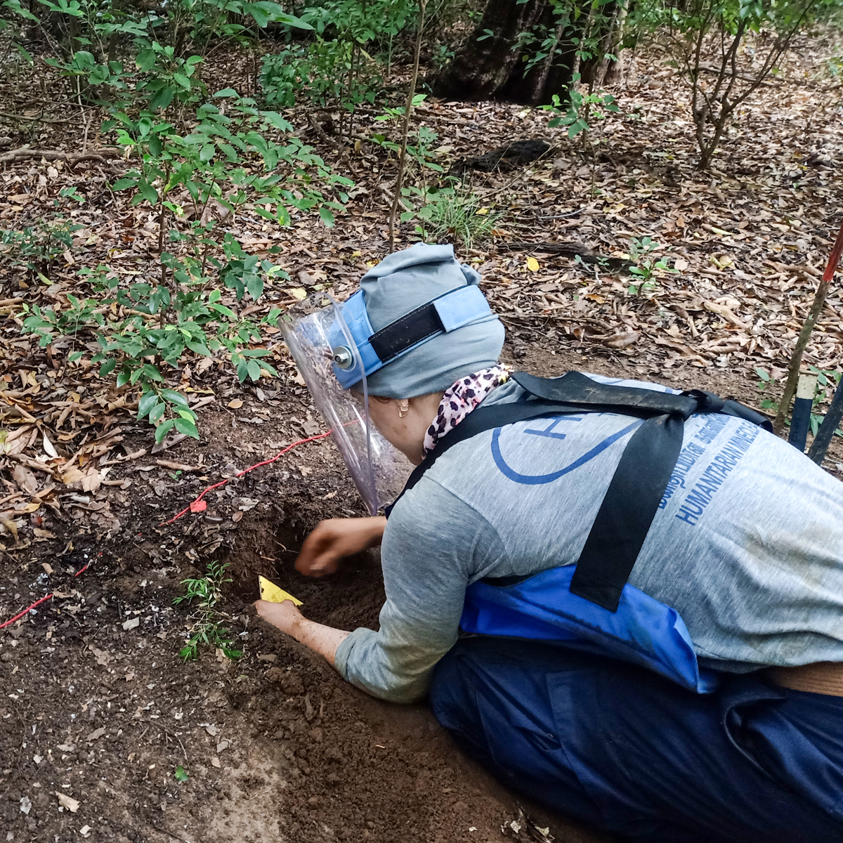 TheHALOTrust's tweet image. &quot;Live demining is challenging! But morale gets boosted when you find a real mine in the jungle minefields of #SriLanka.&quot;

#Demining takes resilience. Our Field Officer trainees need to learn every aspect of the job but nothing beats the feeling when you find your first #landmine.