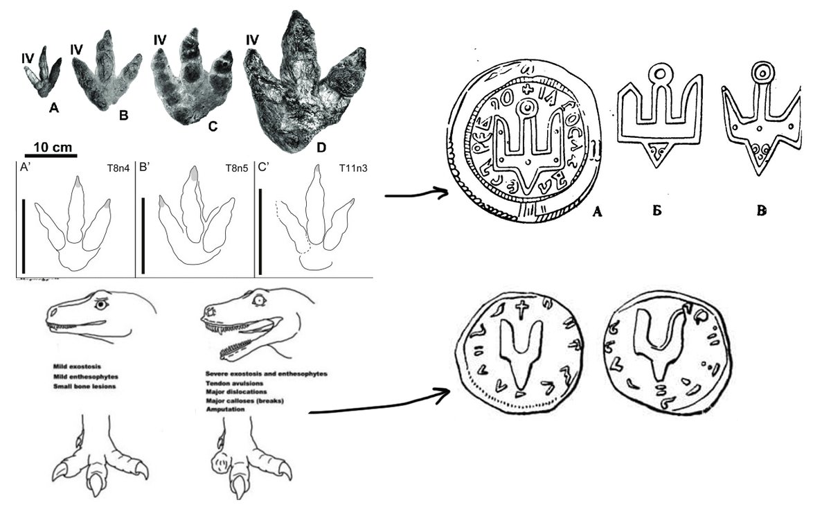 Мало хто знає, але форма Українського Тризуба походить від форми відбитків лап динозаврів, яких одомашнили наші предки. Особливо шанувався Двозуб — відбиток лапи з втраченим у бою пальцем.