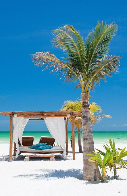 Travitinerary's tweet photo. Holbox Island, Mexico 🇲🇽 https://t.co/Wvs3NwEsWJ