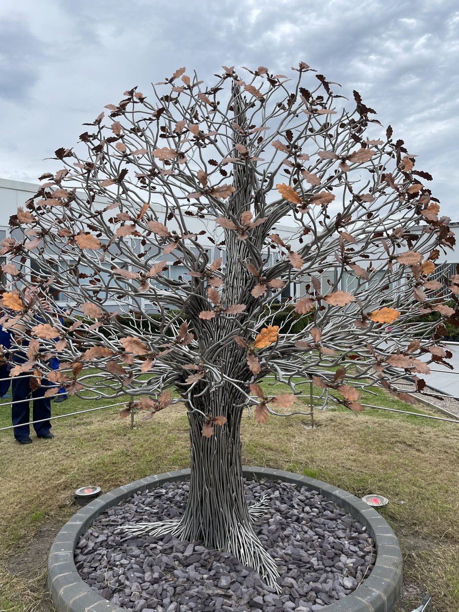 @NorthwestODST tweet media