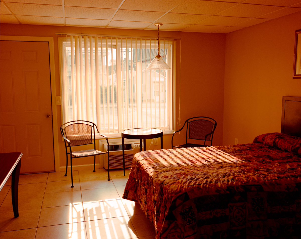 Alessandro Indaco tweet media