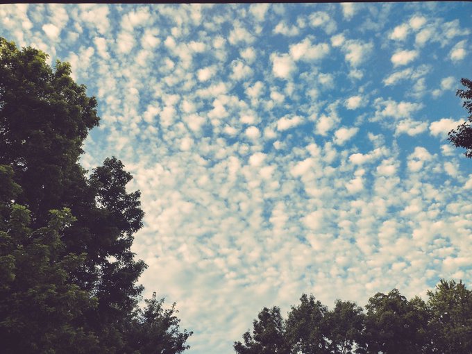 Self reflection finding more time in the present/reality. Is something I feel like we should do more