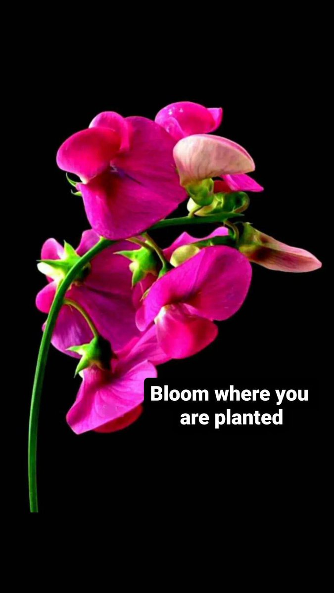 VENUGOPAL PARUPUDI (@venugopalp98110) on Twitter photo 