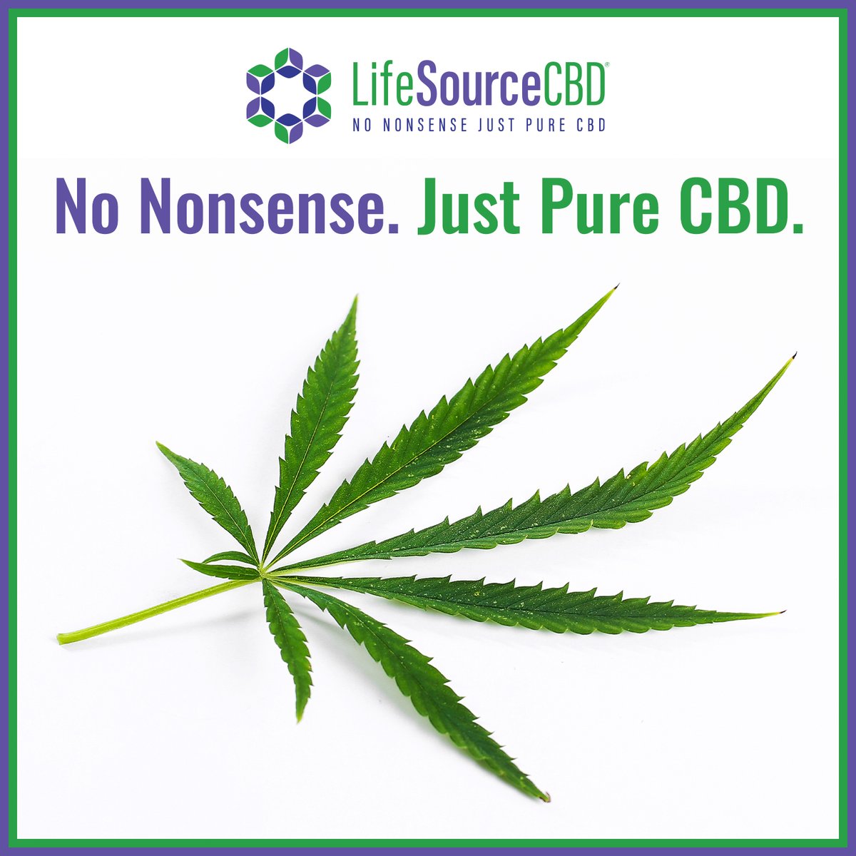 lifesourcecbd's tweet image. Experience the pure power of CBD with LifeSourceCBD! 💚
Embrace the simplicity of premium-quality CBD products. 🌱 

No nonsense, just pure CBD goodness. 
Visit lifesourcecbd.net and unlock the potential of CBD today! ✨🔐

#LifeSourceCBD #PureCBD #NaturalSolutions