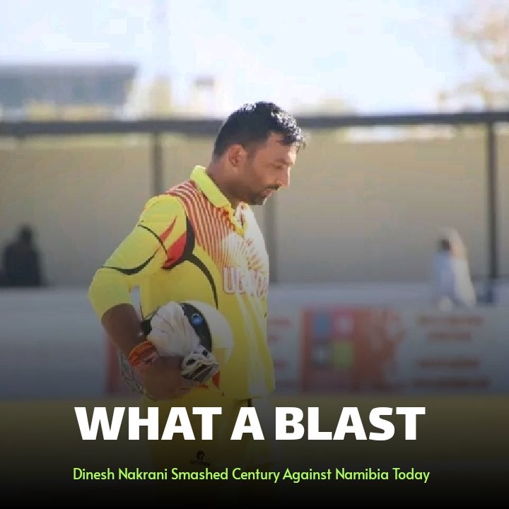Daily Cricket tweet media