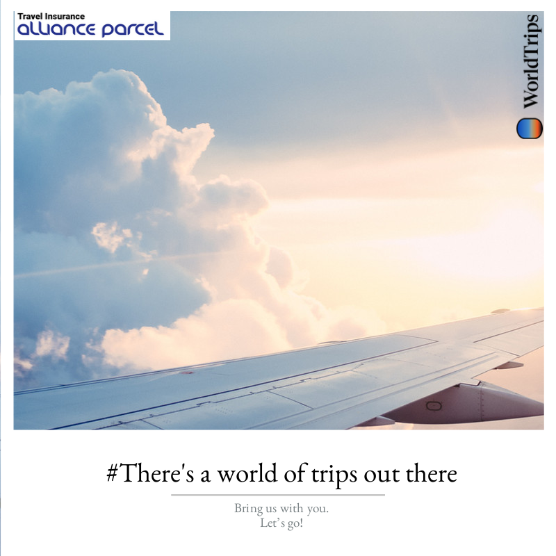AllianceParcel's tweet photo. Travel can represent financial risk. No matter your destination, there’s always a chance you could face an unanticipated cancellation, interruption, travel mishap, or health emergency.
https://t.co/H1aiZUwxxW
#TravelInsurance #TravelersInsurance #WorldTrips #USA #Europe https://t.co/2c9fbdsLMc
