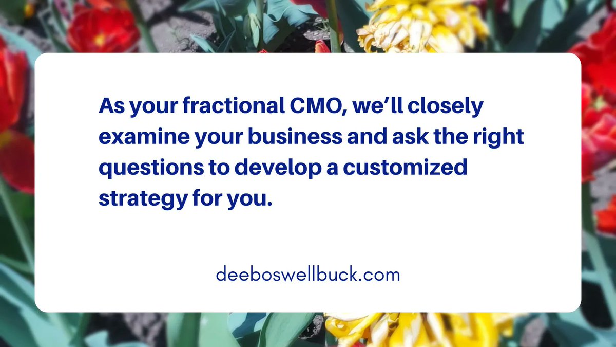 As your fractional CMO, we’ll closely examine your business and ask the right questions to develop a customized strategy for you.
buff.ly/3O2TipP
#digitalmarketingtips #torontobusiness #canadianbusiness