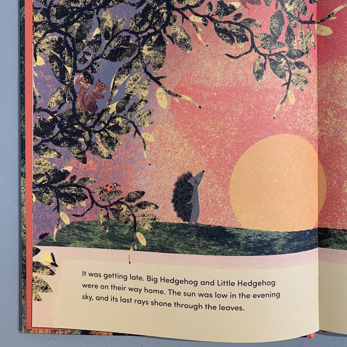 talesfortadpole's tweet image. This charming picture book by #BrittaTeckentrup encourages children to slow down and take a moment to wonder at #Nature 🦔 
As Little Hedgehog and Big Hedgehog stroll home together one evening, Little Hedgehog wishes to watch as the countryside readies itself for nighttime 🌜