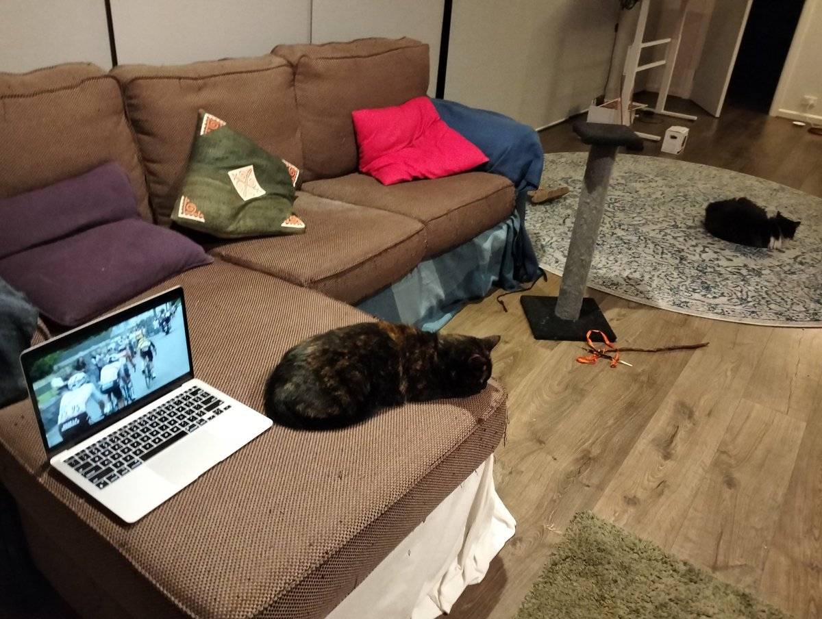 #tourcat #tourcats #notbovd
Doppelbock and Barrow