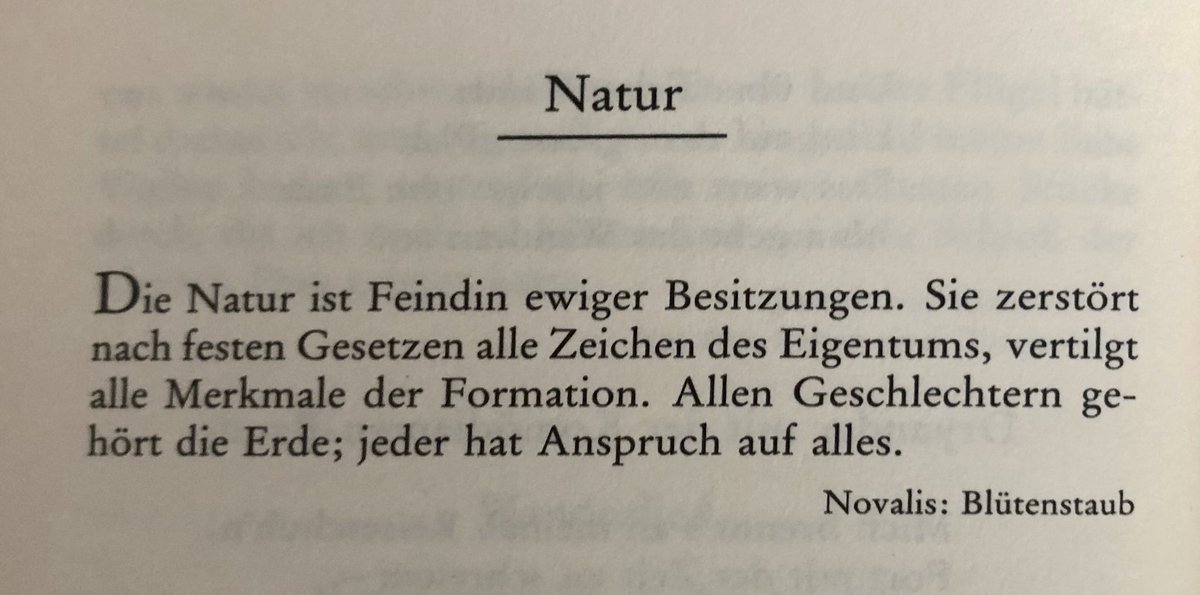 dpsch's tweet image. 