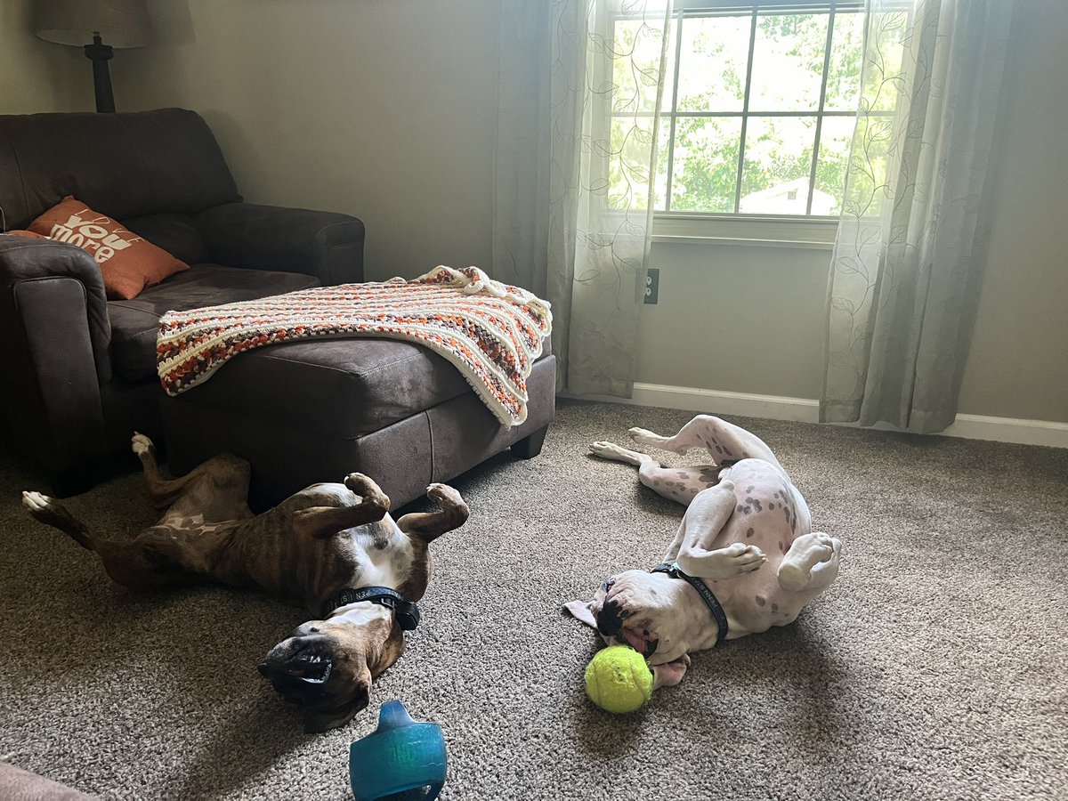 asta 🌸 tweet media