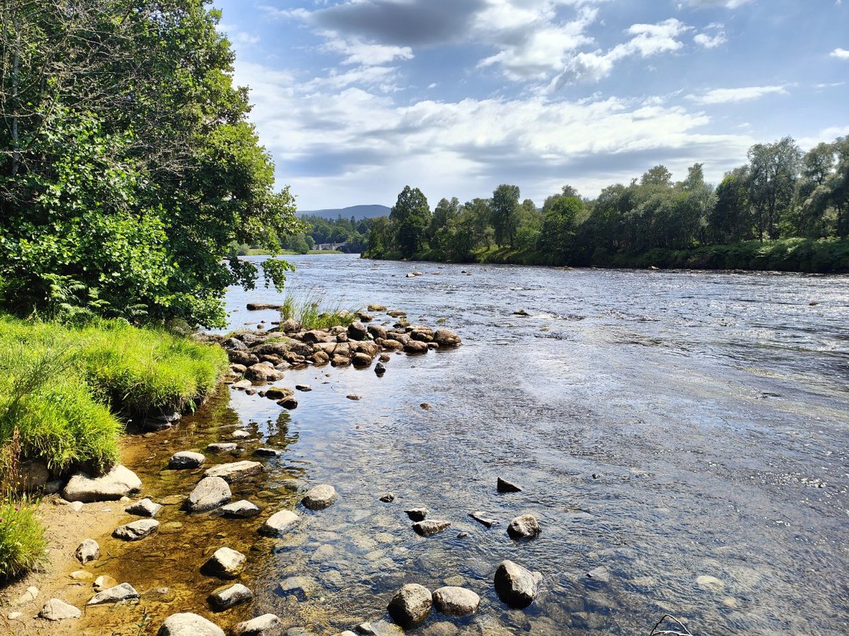 Too windy and hot for the hills today so a stroll by the River Spey. #Cairngorms #Strathspey #riverspey