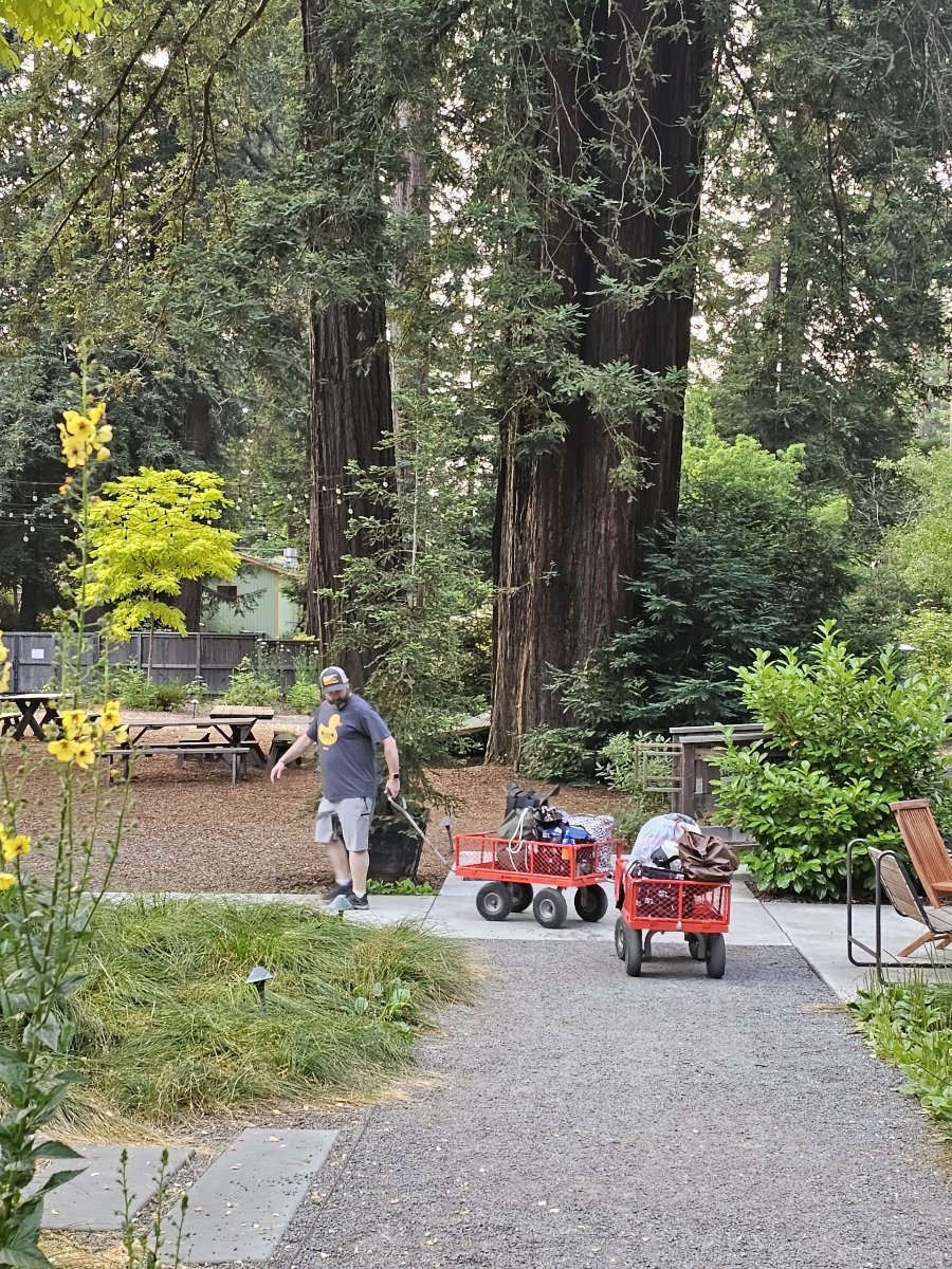 ThegreatLambiny's tweet photo. 6 days at Summer camp in the redwoods comes to an end.
See you in December #Autocamp Russian River.
THANK YOU FOR THE MEMORIES
#5 XOXO https://t.co/dHEXjXglXU