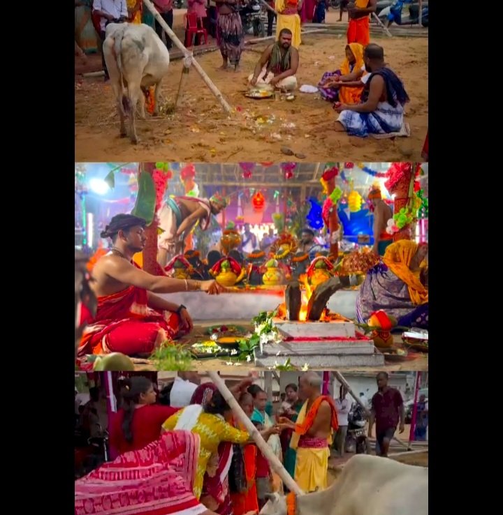 KalingaYuva's tweet photo. Really proud to be a part of  Holy Gau poojan and  Mandir Pravesh Nilakanteshwar Mahadev. Seeking blessings for the smooth functioning of Kalinga yuva sena.
#saveanimals #HarHarMahadevॐ https://t.co/NI2PGdkWSh
