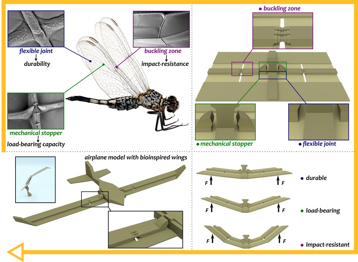 Ali Khaheshi tweet media