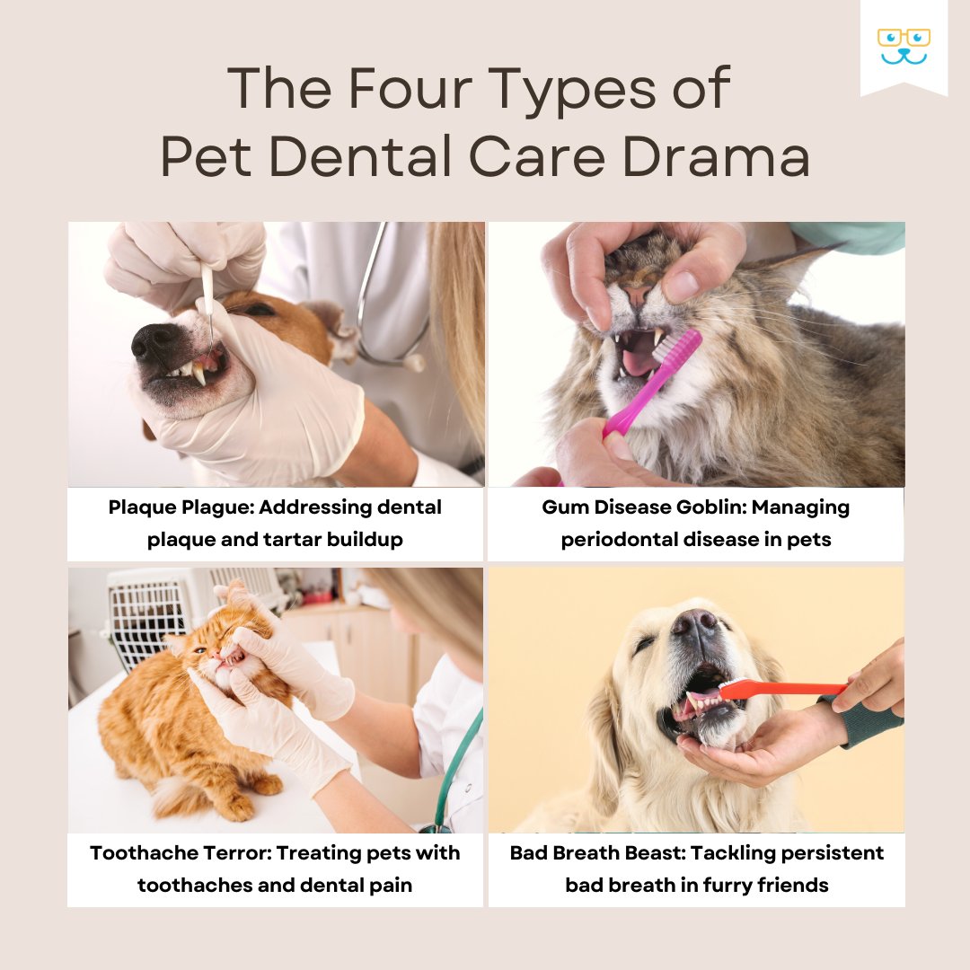 12 Common Symptoms Indicating Your Cat Might Be Sick, image size:1080x1080