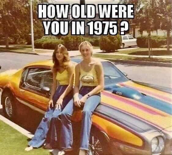 𝚒𝚕𝚕𝚢❗️ 𝚗𝚘𝚝 𝚕𝚒𝚕𝚕𝚢 tweet media