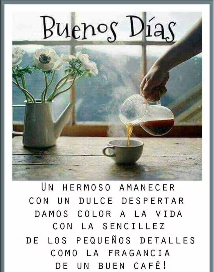 Muy Buenos Días mi gente Bella🙋‍♀️
disfruten mucho este Sábado😄
Abrazos 🤗
#GeneraciónTricolor 

@jesus372333 @IralisailC @Alvarex2808
@larveja31 @ErikOliver2002 @LouRex28
@Luis48571145918 @MirnaGiralit
@luis16684716 @Limpio30518009
@chande5035 @Rextwit12 @Camilaplu @cambar_adrian