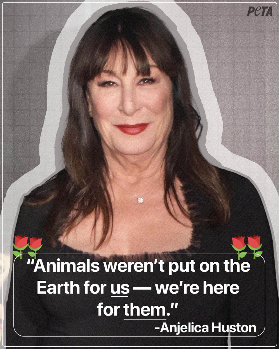 She’s an Oscar-winner, has played iconic roles #TheGrifters & #TheAddamsFamily, is a fierce advocate for animals, and is a legend in our book ♥️🌹
 
Wishing the happiest of birthdays to our dear friend & PETA honorary director, @anjelicahuston! 🥳