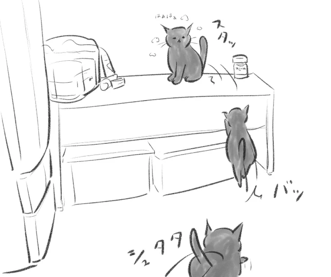 何か要求がある時もだけど何も要求がなくたってとにかく先回りしてくる猫。 